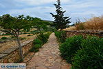 JustGreece.com Ano Sangri Naxos - Cyclades Greece- nr 8 - Foto van JustGreece.com