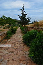 JustGreece.com Ano Sangri Naxos - Cyclades Greece- nr 9 - Foto van JustGreece.com