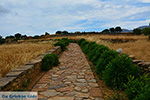 JustGreece.com Ano Sangri Naxos - Cyclades Greece- nr 10 - Foto van JustGreece.com