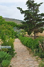 JustGreece.com Ano Sangri Naxos - Cyclades Greece- nr 16 - Foto van JustGreece.com