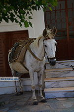 Apiranthos Naxos - Cyclades Greece- nr 9 - Photo JustGreece.com