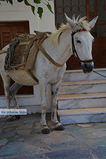 JustGreece.com Apiranthos Naxos - Cyclades Greece- nr 10 - Foto van JustGreece.com