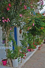 JustGreece.com Apollonas Naxos - Cyclades Greece- nr 16 - Foto van JustGreece.com