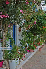 JustGreece.com Apollonas Naxos - Cyclades Greece- nr 17 - Foto van JustGreece.com