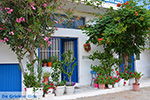 JustGreece.com Apollonas Naxos - Cyclades Greece- nr 19 - Foto van JustGreece.com