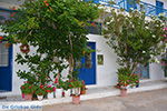 JustGreece.com Apollonas Naxos - Cyclades Greece- nr 20 - Foto van JustGreece.com