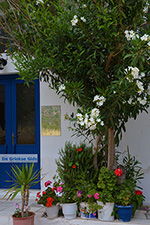 Apollonas Naxos - Cyclades Greece- nr 21 - Photo JustGreece.com