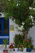 JustGreece.com Apollonas Naxos - Cyclades Greece- nr 21 - Foto van JustGreece.com