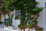 JustGreece.com Apollonas Naxos - Cyclades Greece- nr 22 - Foto van JustGreece.com