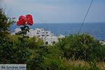 JustGreece.com Apollonas Naxos - Cyclades Greece- nr 26 - Foto van JustGreece.com
