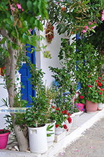 JustGreece.com Apollonas Naxos - Cyclades Greece- nr 30 - Foto van JustGreece.com