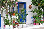 JustGreece.com Apollonas Naxos - Cyclades Greece- nr 31 - Foto van JustGreece.com