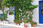 JustGreece.com Apollonas Naxos - Cyclades Greece- nr 32 - Foto van JustGreece.com