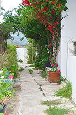 Apollonas Naxos - Cyclades Greece- nr 37 - Photo JustGreece.com
