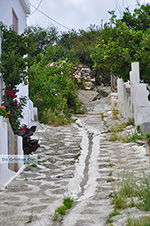 JustGreece.com Apollonas Naxos - Cyclades Greece- nr 45 - Foto van JustGreece.com