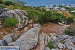 Apollonas Naxos - Cyclades Greece- nr 59 - Photo JustGreece.com