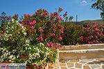 Engares Naxos - Cyclades Greece- nr 17 - Photo JustGreece.com