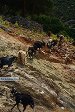 Kalantos Naxos - Cyclades Greece- nr 5 - Photo JustGreece.com
