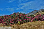JustGreece.com Kalantos Naxos - Cyclades Greece- nr 16 - Foto van JustGreece.com