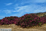 JustGreece.com Kalantos Naxos - Cyclades Greece- nr 17 - Foto van JustGreece.com