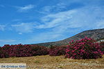 JustGreece.com Kalantos Naxos - Cyclades Greece- nr 18 - Foto van JustGreece.com