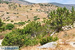 Kalantos Naxos - Cyclades Greece- nr 51 - Photo JustGreece.com