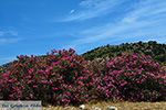 JustGreece.com Kalantos Naxos - Cyclades Greece- nr 53 - Foto van JustGreece.com