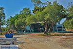 Kastraki Naxos - Cyclades Greece- nr 19 - Foto van JustGreece.com
