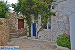 JustGreece.com Kato Sangri Naxos - Cyclades Greece- nr 2 - Foto van JustGreece.com