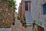 JustGreece.com Kato Sangri Naxos - Cyclades Greece- nr 5 - Foto van JustGreece.com