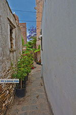 JustGreece.com Kato Sangri Naxos - Cyclades Greece- nr 8 - Foto van JustGreece.com