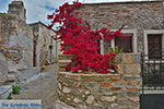 JustGreece.com Kato Sangri Naxos - Cyclades Greece- nr 11 - Foto van JustGreece.com