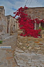 JustGreece.com Kato Sangri Naxos - Cyclades Greece- nr 12 - Foto van JustGreece.com