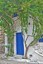 JustGreece.com Kato Sangri Naxos - Cyclades Greece- nr 17 - Foto van JustGreece.com