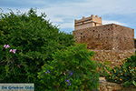 JustGreece.com Kato Sangri Naxos - Cyclades Greece- nr 33 - Foto van JustGreece.com
