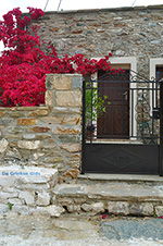 JustGreece.com Kato Sangri Naxos - Cyclades Greece- nr 34 - Foto van JustGreece.com