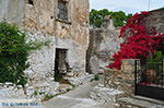 Kato Sangri Naxos - Cyclades Greece- nr 35 - Photo JustGreece.com