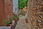 JustGreece.com Kato Sangri Naxos - Cyclades Greece- nr 40 - Foto van JustGreece.com
