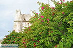 JustGreece.com Kato Sangri Naxos - Cyclades Greece- nr 42 - Foto van JustGreece.com