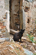 JustGreece.com Kato Sangri Naxos - Cyclades Greece- nr 44 - Foto van JustGreece.com