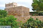 JustGreece.com Kato Sangri Naxos - Cyclades Greece- nr 54 - Foto van JustGreece.com