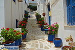 JustGreece.com Naxos town - Cyclades Greece - nr 4 - Foto van JustGreece.com