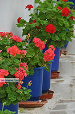 Naxos town - Cyclades Greece - nr 34 - Photo JustGreece.com