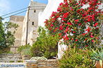 JustGreece.com Naxos town - Cyclades Greece - nr 82 - Foto van JustGreece.com