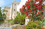 Naxos town - Cyclades Greece - nr 82 - Photo JustGreece.com