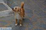 Naxos town - Cyclades Greece - nr 174 - Photo JustGreece.com