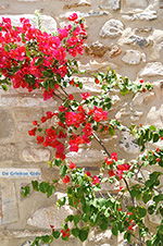 JustGreece.com Naxos town - Cyclades Greece - nr 215 - Foto van JustGreece.com