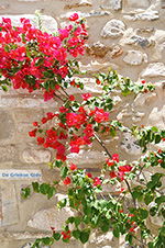 Naxos town - Cyclades Greece - nr 215 - Photo JustGreece.com