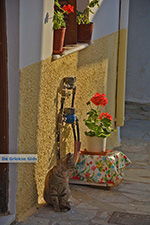 JustGreece.com Naxos town - Cyclades Greece - nr 299 - Foto van JustGreece.com