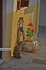 Naxos town - Cyclades Greece - nr 301 - Photo JustGreece.com